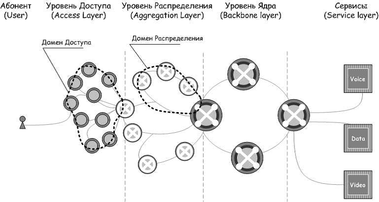 Структура сети